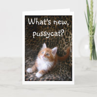 Cute red kitten on leopard print greeting card