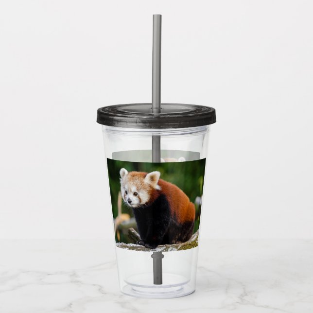 Cute Red Panda Acrylic Tumbler (Front)