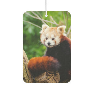 Cute Red Panda Bear Air Freshener