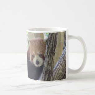 Cute Red Panda Coffee Mug
