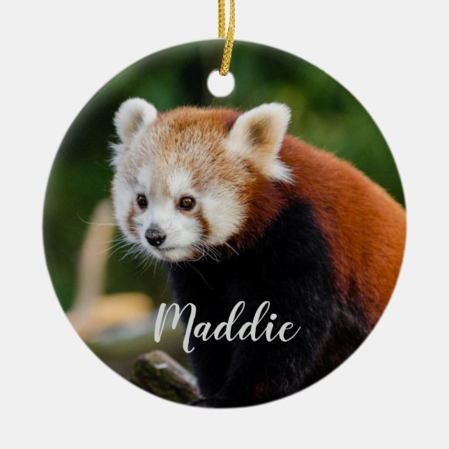 Cute Red Panda Fire Fox Personalized Ceramic Ornament (Front)