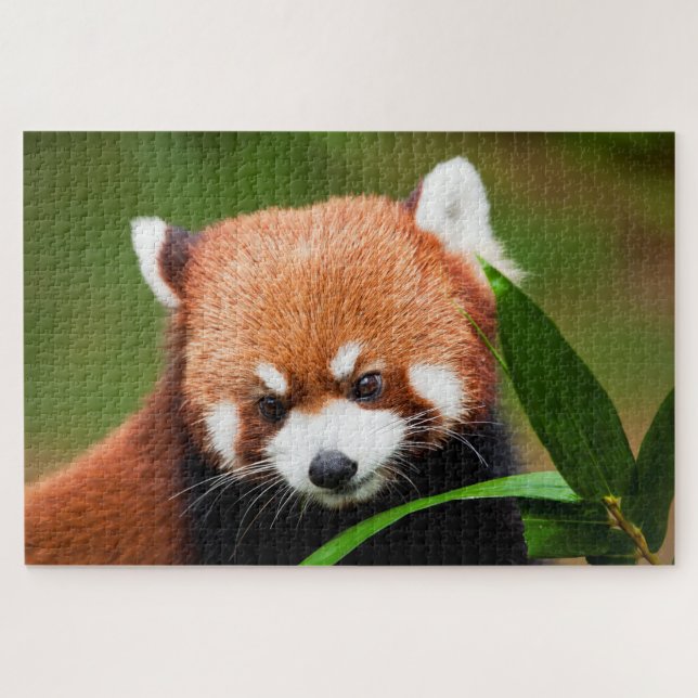 Cute Red Panda Jigsaw Puzzle (Horizontal)