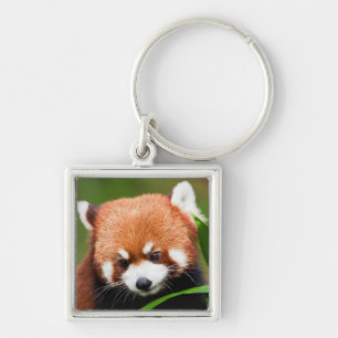 Cute Red Panda Keychain