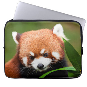 Cute Red Panda Laptop Sleeve