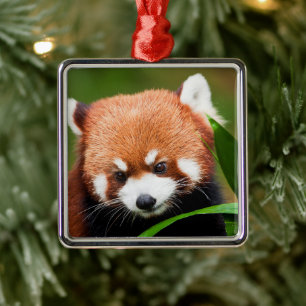 Cute Red Panda Metal Ornament