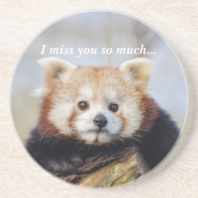 Cute Red Panda Miss You So Much  Coaster (Front)