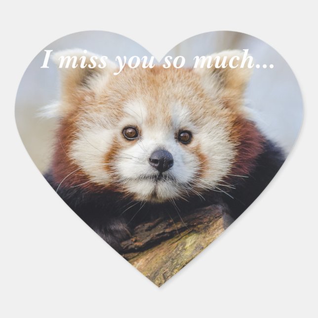 Cute Red Panda Miss You So Much  Heart Sticker (Front)