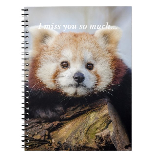 Cute Red Panda Miss You So Much  Notebook (Front)