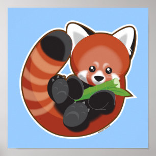 Cute Red Panda Poster