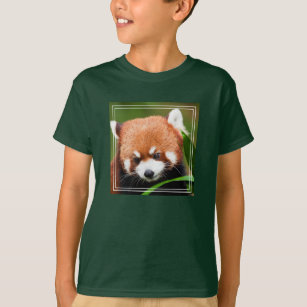 Cute Red Panda T-Shirt