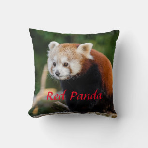 Cute Red Panda Wild Nature Red Text Throw Pillow