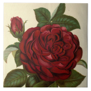 cute red rose vintage decor tile
