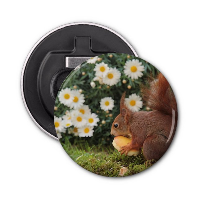 Cute Red Squirrel and Daisies Photo Bottle Opener (Front)
