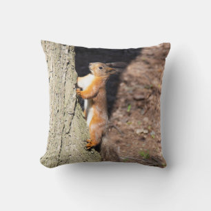 Cute red squirrel on a tree poster throw pillow