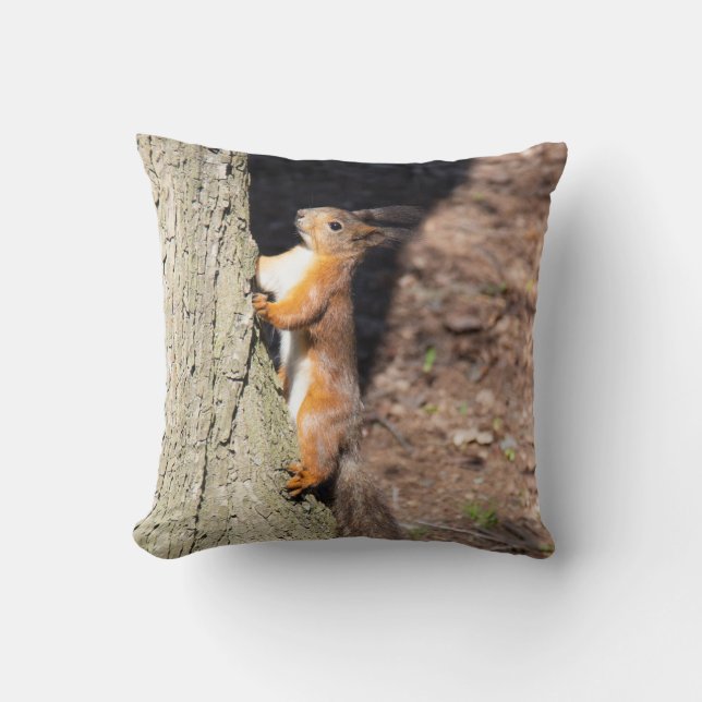 Cute red squirrel on a tree poster throw pillow (Front)