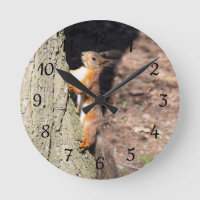 Cute red squirrel on a tree poster throw pillow