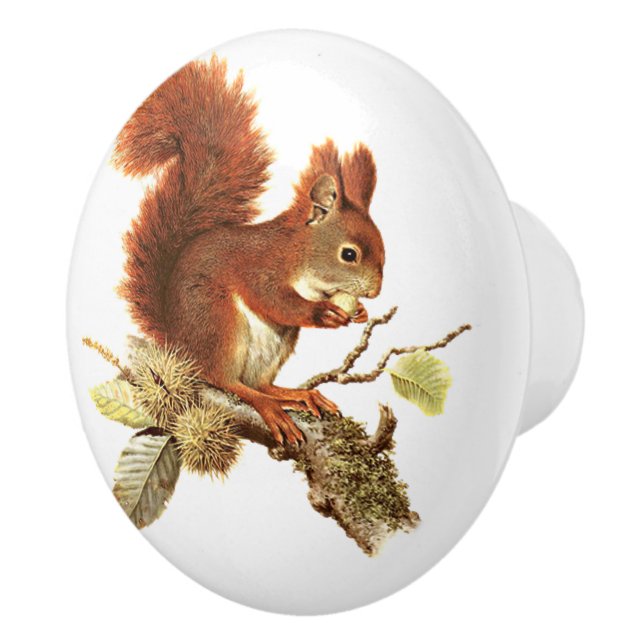 Cute Red Squirrel On Branch Ceramic Knob (Right)