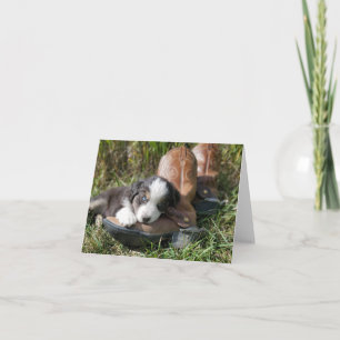 Cute red tri mini Aussie puppy with cowboy boots Note Card