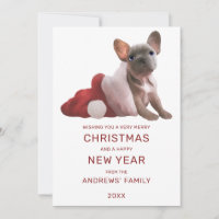 Cute Red White French Bulldog Santa Hat Christmas