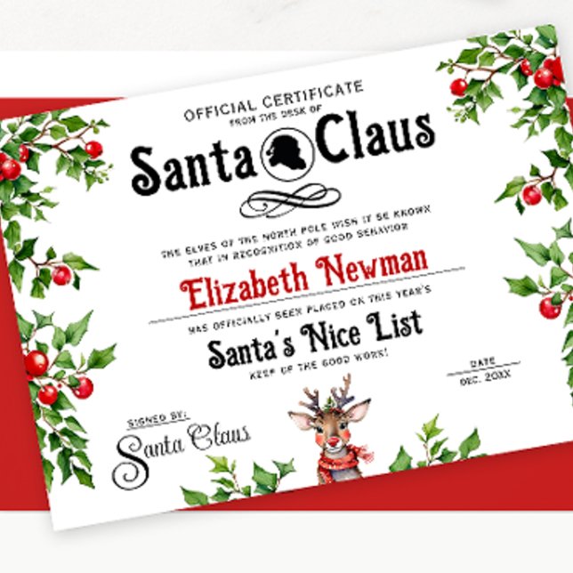 Cute Red White Santa Naughty Nice List Official  Holiday Card (Creator Uploaded)