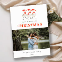 Cute Red Winter Quacking Christmas Ducks Photo