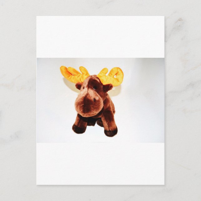 CUTE REINDEER POSTCARD (Front)
