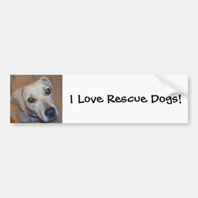 Cute Rescue Dog Bumper Sticker (Front)
