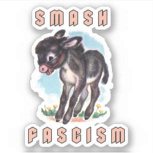 Cute Retro Donkey- Smash Fascism