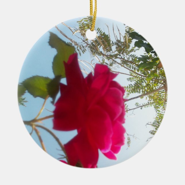 Cute Retro Hakuna Matata Gift Blue Red  Green SKY  Ceramic Ornament (Front)