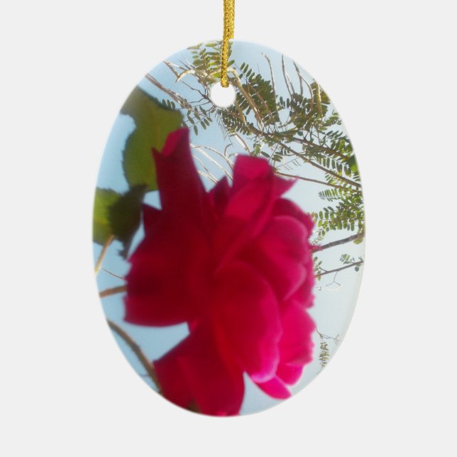 Cute Retro Hakuna Matata Gift Blue Red  Green SKY  Ceramic Ornament (Front)