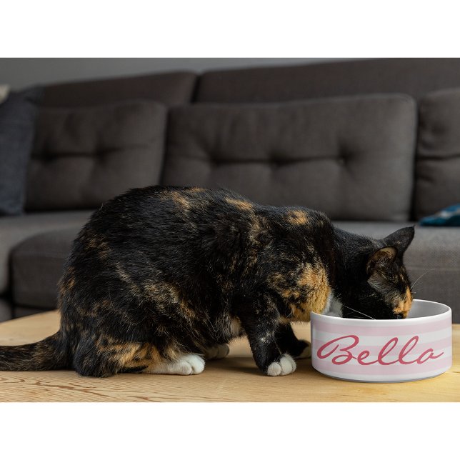 Cute Retro Pink Striped Cat Kitty Pet Name Food Bowl (Cute Retro Pink Striped Cat Kitty Pet Name Food Bowl)