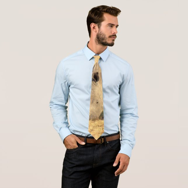 Cute rhinoceros in africa tie (In Situ)