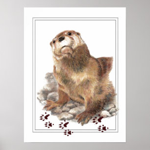 Cute River Otter, Animal Tracks, Wildlife Poster