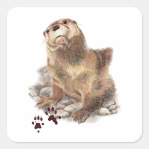 Cute River Otter, Animal Tracks, Wildlife Square Sticker