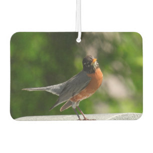 Cute Robin Air Freshener