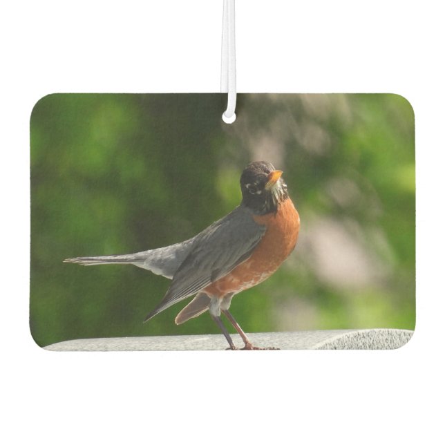 Cute Robin Air Freshener (Front)