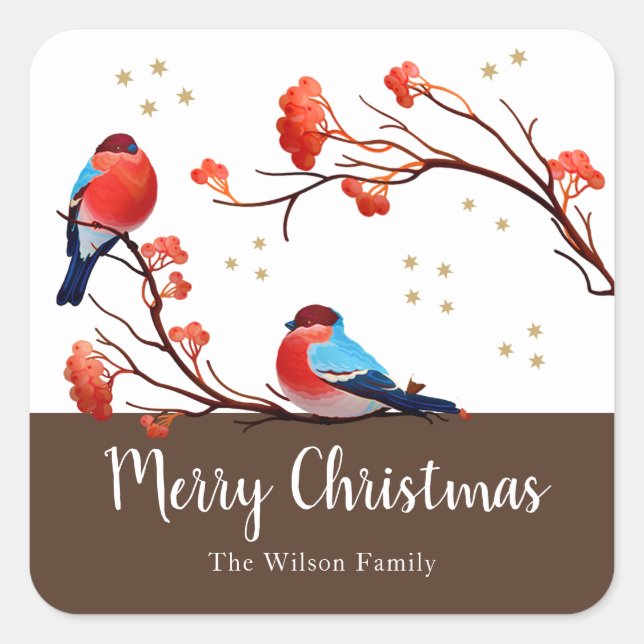 Cute Robin Birds On Red Berry Branch Christmas Square Sticker (Front)