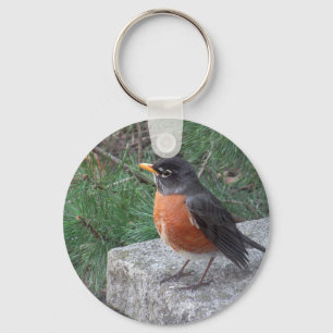 Cute Robin In Garden Photo Keychain