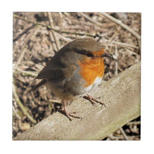 CUTE ROBIN TILE