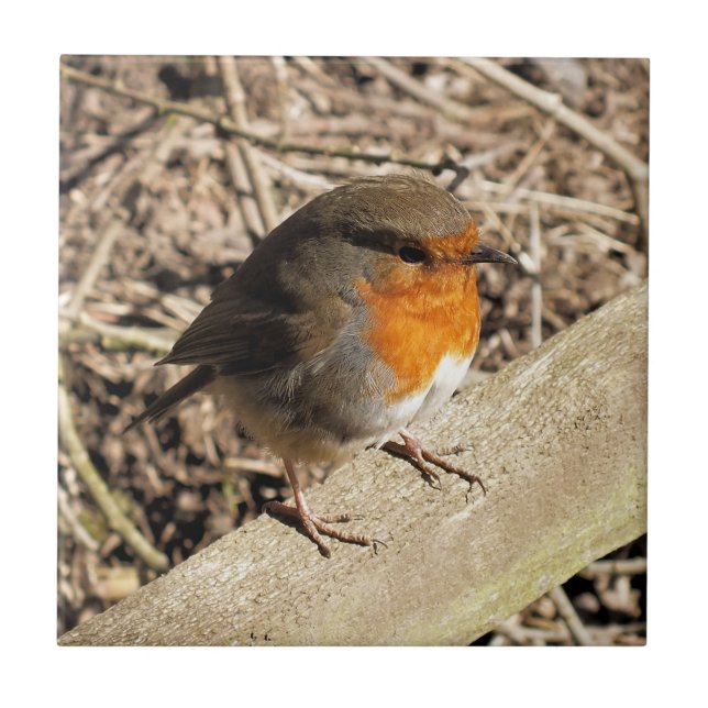 CUTE ROBIN TILE (Front)