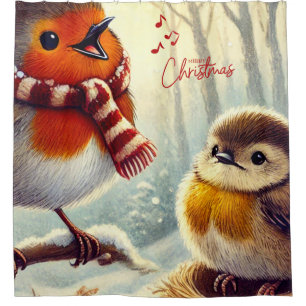 Cute Robins, Frozen Christmas