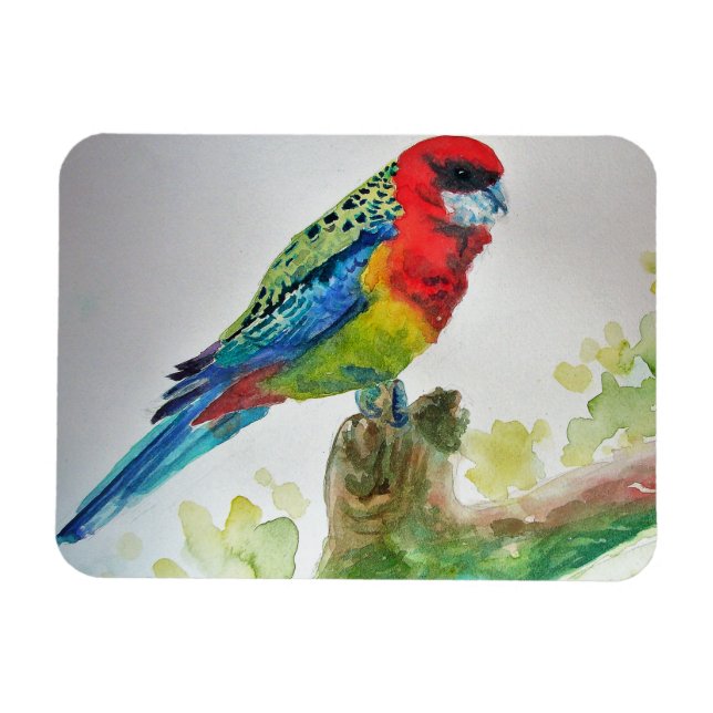 Cute Rosella Parrois oiseau Aquarelle Magnet d'art (Horizontal)