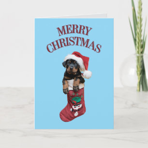 Cute Rottweiler Christmas Holiday Card