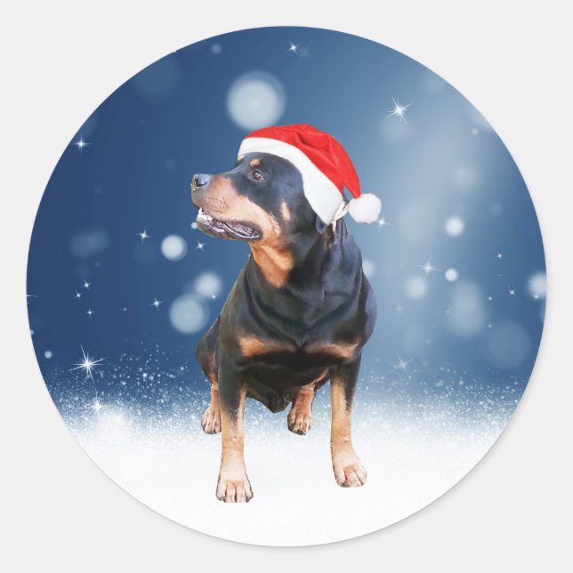 Cute Rottweiler Dog Christmas Santa Hat Snow Stars Classic Round Sticker (Front)