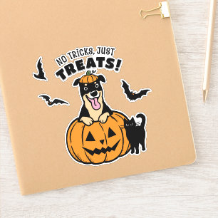 Cute Rottweiler Dog Halloween with Black Cat