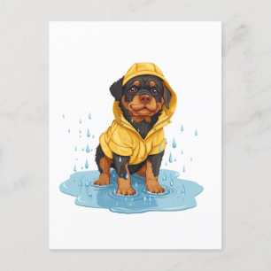 Cute Rottweiler Dog Wearing Raincoat Postcard