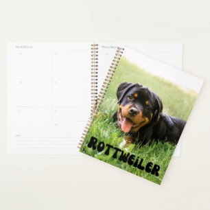 Cute Rottweiler Puppy Calendar Planner