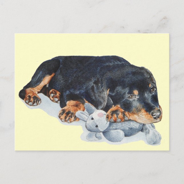 cute rottweiler puppy dog cuddling teddy bear art postcard (Front)