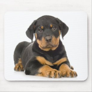 Cute Rottweiler Puppy Dog Resting Mousepad