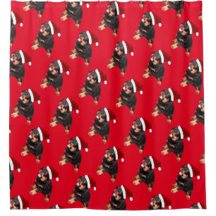Cute Rottweiler Puppy Wearing Cartoon Santa Hat